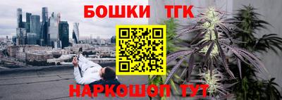 твердый Гатчина