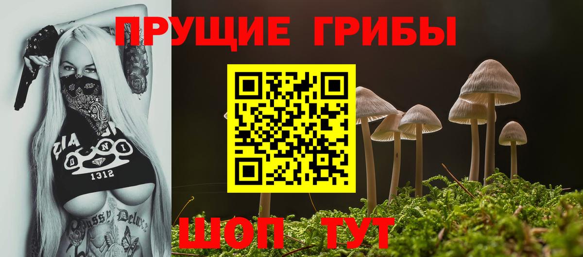 Псилоцибиновые грибы Psilocybe  Вход с VPN  Галлюциногенные грибы прущие грибы  купить  цена  Богородицк 